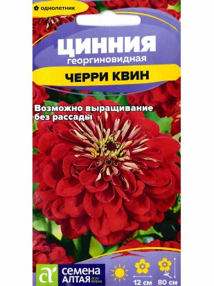Цинния Черри Квин георгиноцветковая [Семена алтая]