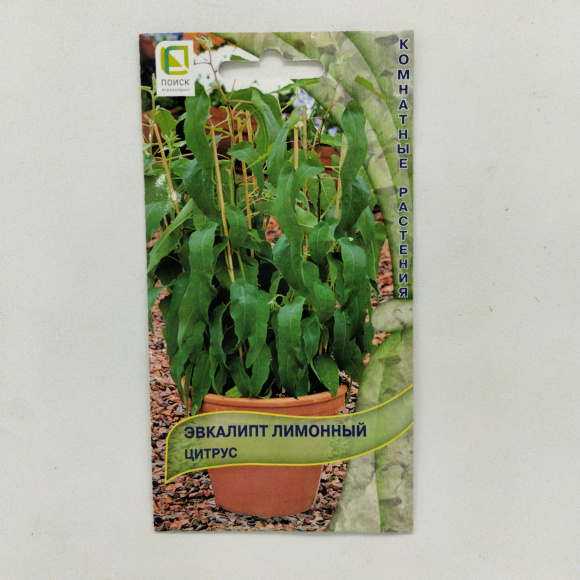 Эвкалипт лимонный Цитрус [Поиск] купить с доставкой