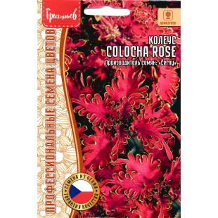 Колеус Colocha Rose [Семена редких растений]