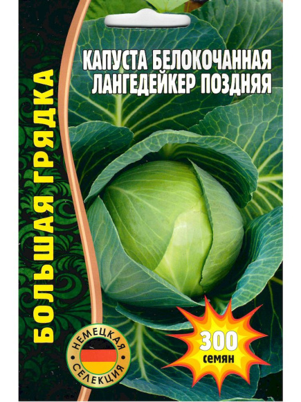 Капуста б/к Лангедейкер поздняя [Семена редких растенитй] купить с доставкой