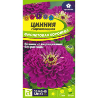 Цинния Фиолетовая Королева георгиноцв. (Семена алтая)