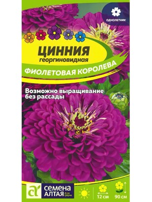 Цинния Фиолетовая Королева георгиноцв. [Семена алтая]
