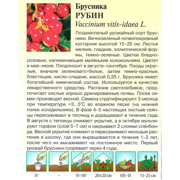 Брусника Рубин [Гавриш] купить с доставкой