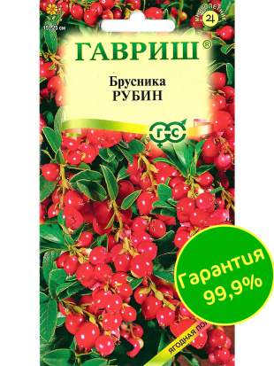 Брусника Рубин [Гавриш]