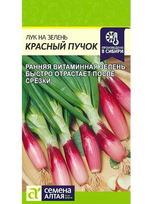 Лук на Зелень Красный Пучок [Семена алтая]