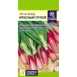 Лук на Зелень Красный Пучок [Семена алтая]