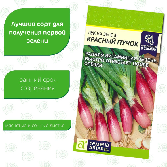 Лук на Зелень Красный Пучок [Семена алтая] купить с доставкой