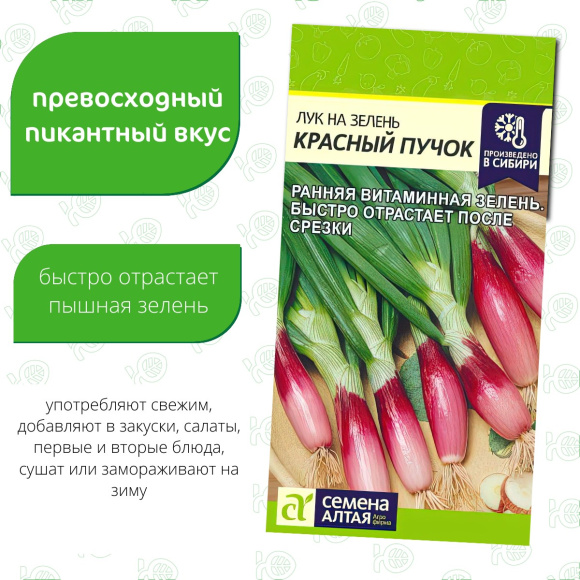 Лук на Зелень Красный Пучок [Семена алтая] купить с доставкой