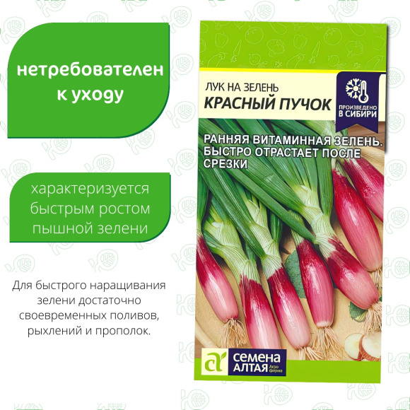 Лук на Зелень Красный Пучок [Семена алтая] купить с доставкой