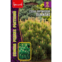 Сосна Пумилио карликовая 10шт (Семена редких растений)