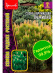 Сосна Пумилио карликовая [Семена редких растений] купить с доставкой