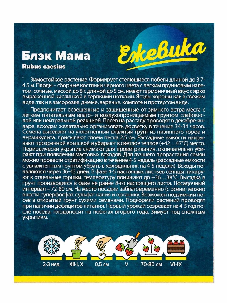 Ежевика Блэк Мама крупноплодная [Семена алтая] купить с доставкой
