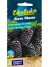 Ежевика Блэк Мама крупноплодная [Семена алтая] купить с доставкой