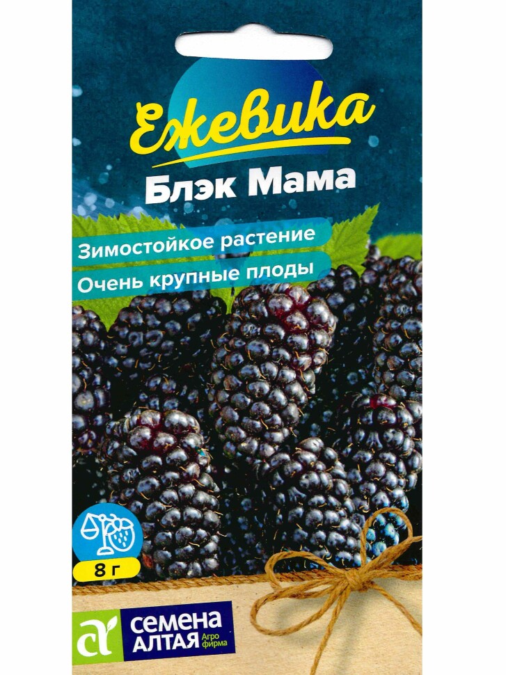 Ежевика Блэк Мама крупноплодная [Семена алтая] купить с доставкой