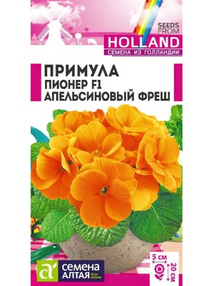 Примула Пионер Апельсиновый фреш [Семена алтая]