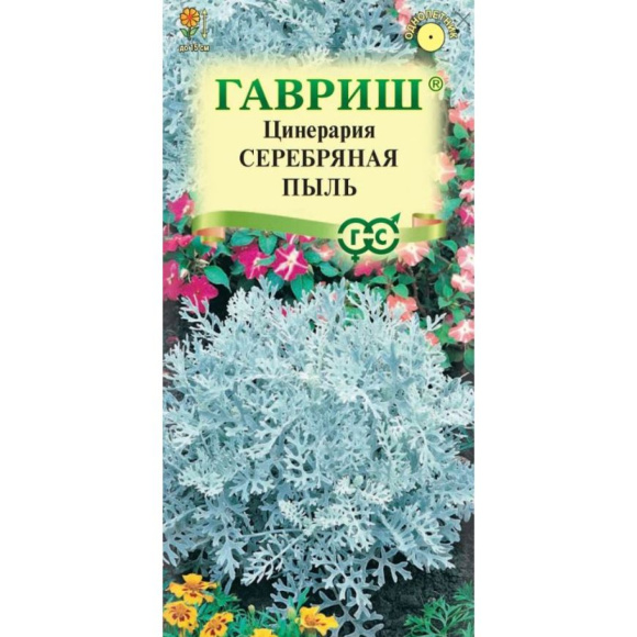 Цинерария Серебряная Пыль [Гавриш] купить с доставкой