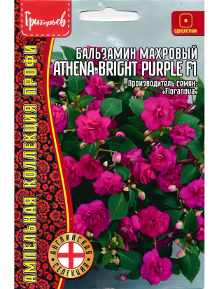 Бальзамин Уоллера Athena Bright Purple [Семена редких растений]