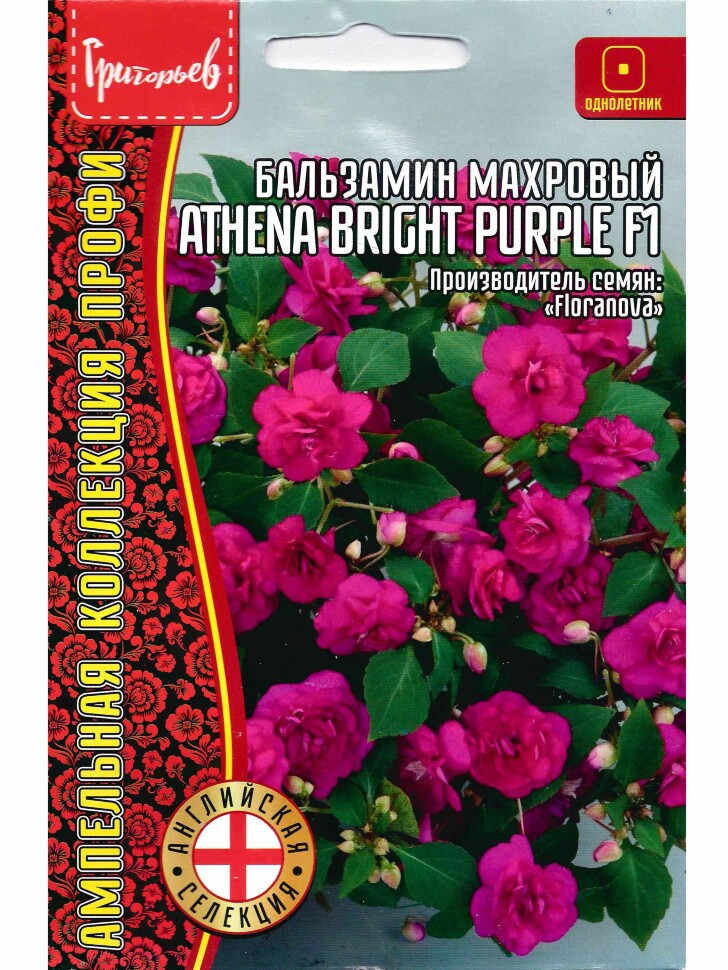 Бальзамин Уоллера Athena Bright Purple [Семена редких растений] купить с доставкой