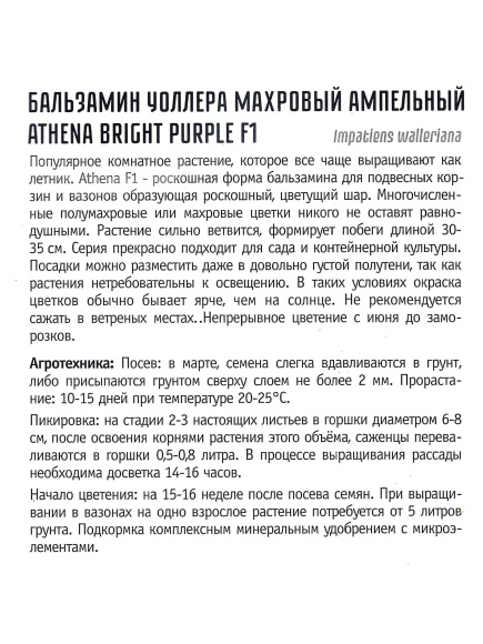 Бальзамин Уоллера Athena Bright Purple [Семена редких растений] купить с доставкой