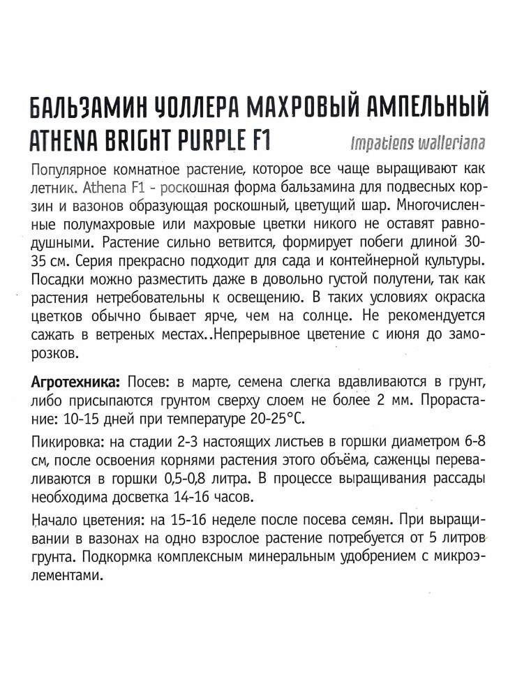Бальзамин Уоллера Athena Bright Purple [Семена редких растений] купить с доставкой