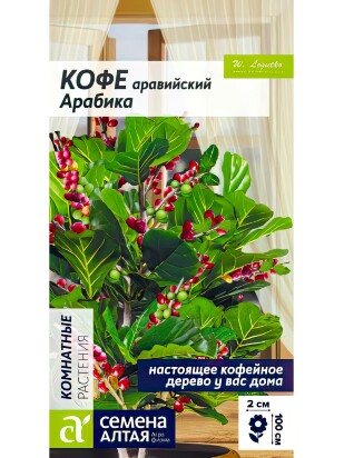Кофе Арабика аравийский [Семена алтая]