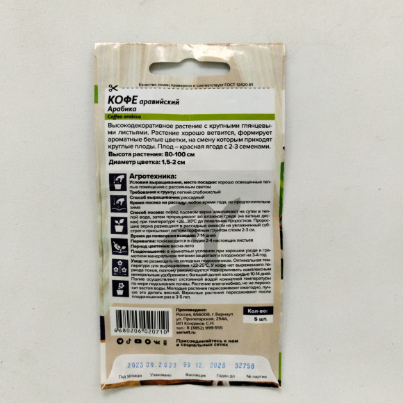 Кофе Арабика аравийский [Семена алтая] купить с доставкой