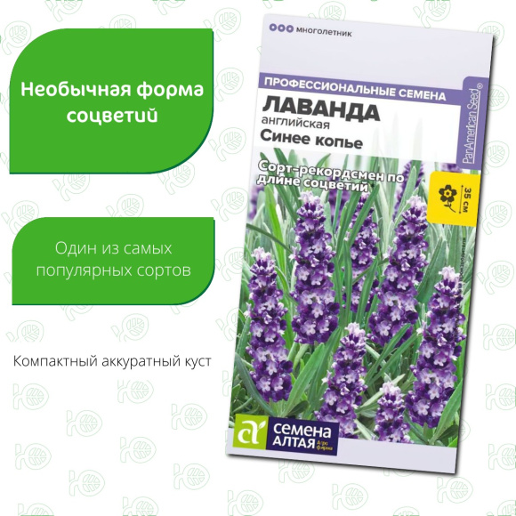 Лаванда Синее копье узколистная [Семена алтая] купить с доставкой