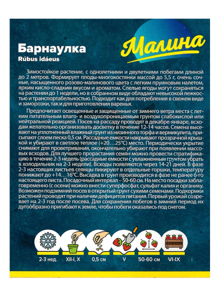 Малина Барнаулка красная [Семена алтая] купить с доставкой