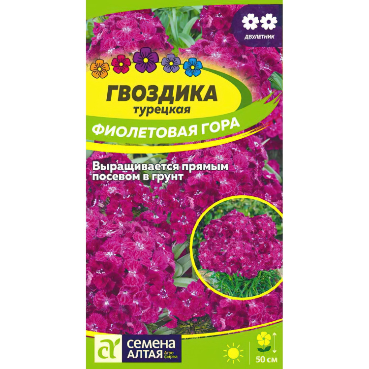 Гвоздика турецкая Фиолетовая гора (Семена алтая) можно купить недорого с доставкой в питомнике Любвитский