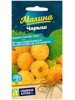 Малина Чарыш желтая [Семена алтая]