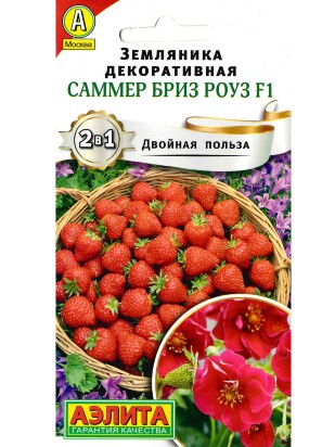 Земляника Саммер Бриз Роуз [Аэлита]