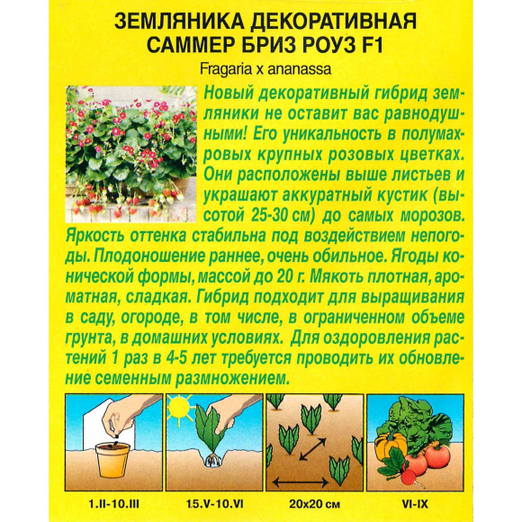 Земляника Саммер Бриз Роуз [Аэлита] купить с доставкой