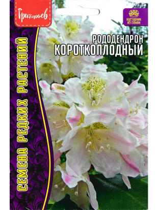 Рододендрон короткоплодный [Семена редких растений]