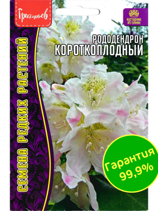 Рододендрон короткоплодный [Семена редких растений]