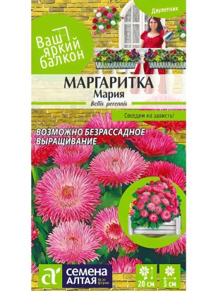 Маргаритка Мария [Семена алтая]