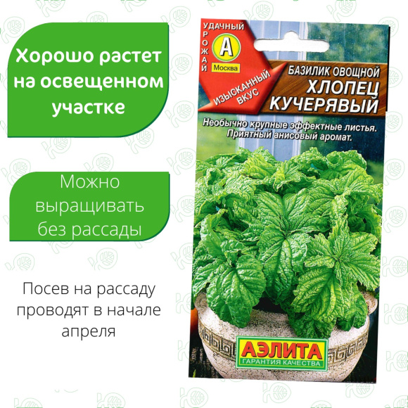 Базилик Хлопец кучерявый [Аэлита] купить с доставкой