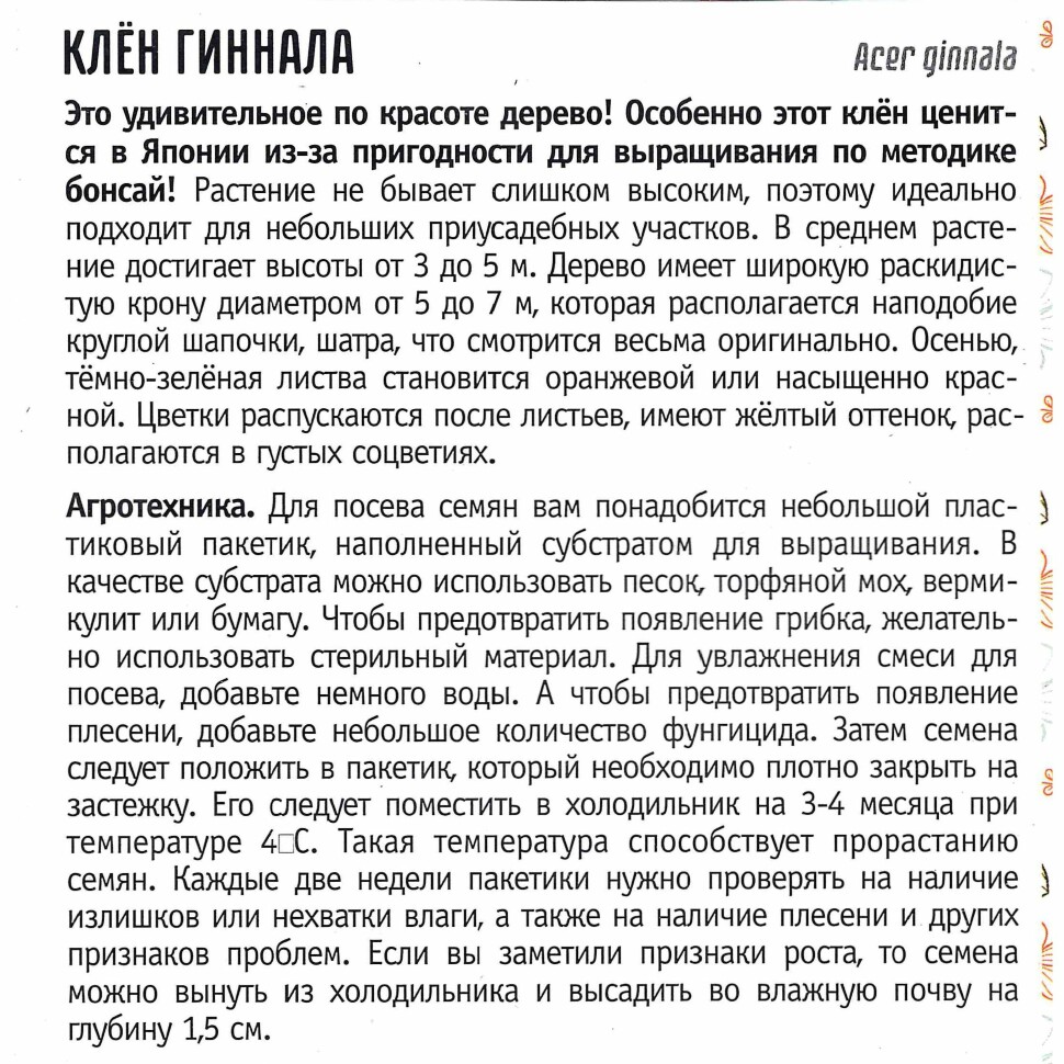 Клён Гиннала [Семена редких растений] купить с доставкой