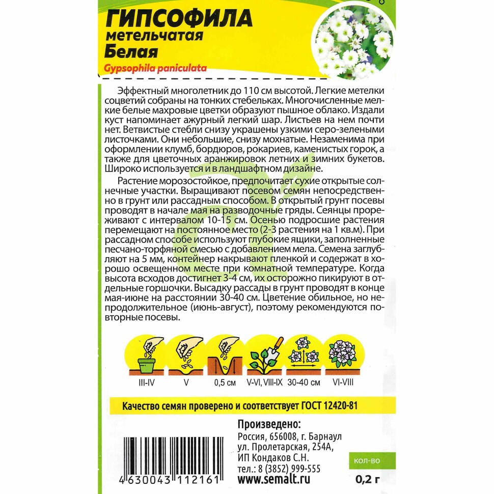 Гипсофила Белая [Семена алтая] купить с доставкой