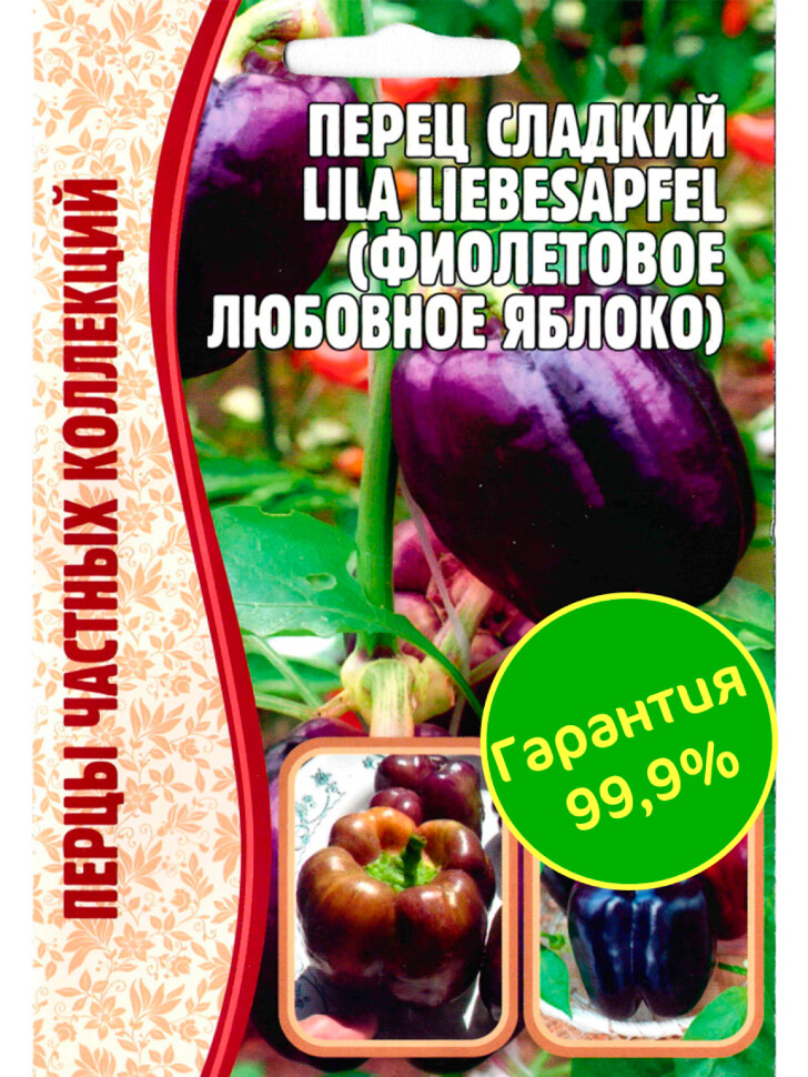 Перец Lila Liebesapfel Фиолетовое любовное яблоко [Семена редких растений] купить с доставкой