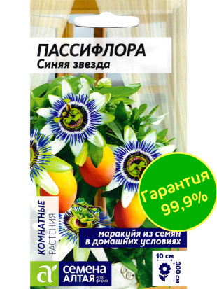 Пассифлора Синяя звезда [Семена алтая]