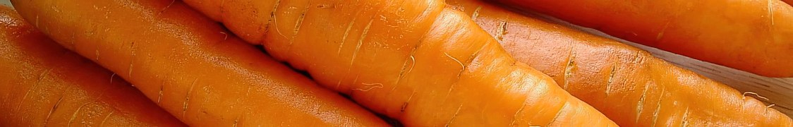 Морковь недорого с доставкой из питомника по России