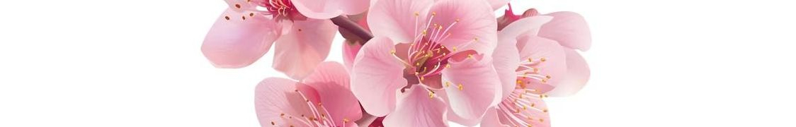 Миндаль купить с доставкой из питомника по России