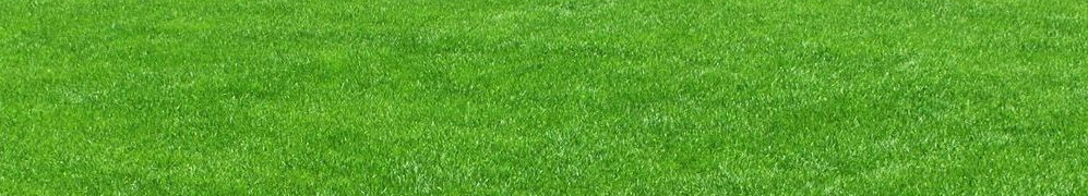 Газонные травы у которых очень высокая морозостойкость  