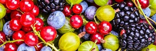 Ягода у которых розовые цветы