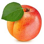 Абрикос